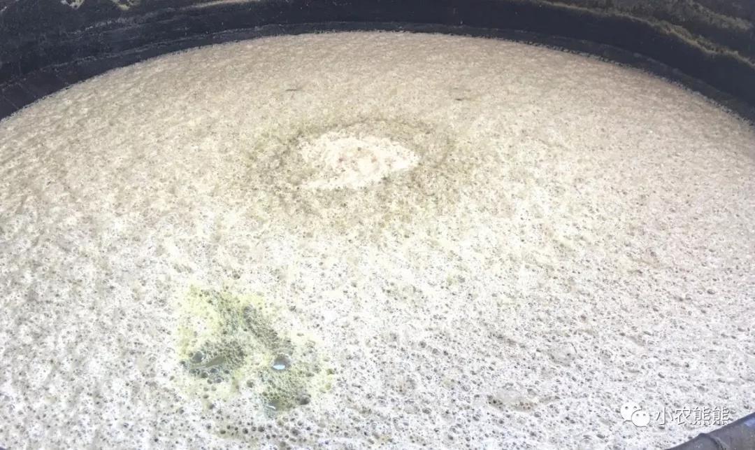 豆漿泡沫.jpg